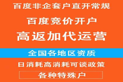 某企业通过SEM实现品牌与销售双增长的案例